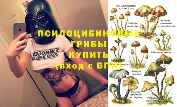 ешки Аркадак