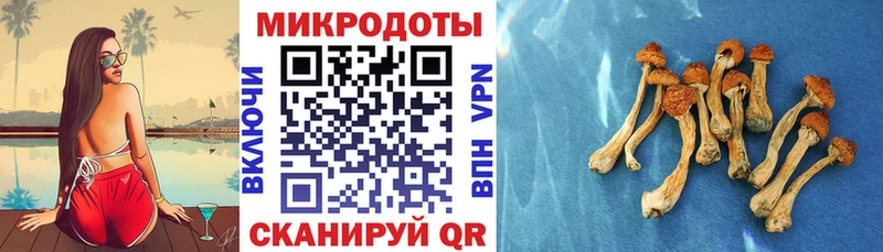 Псилоцибиновые грибы MAGIC MUSHROOMS  Усть-Джегута 
